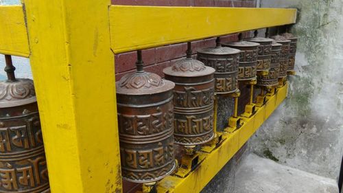 Close-up of yellow flowers