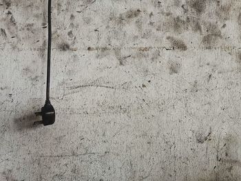 Close-up of electric lamp hanging on wall