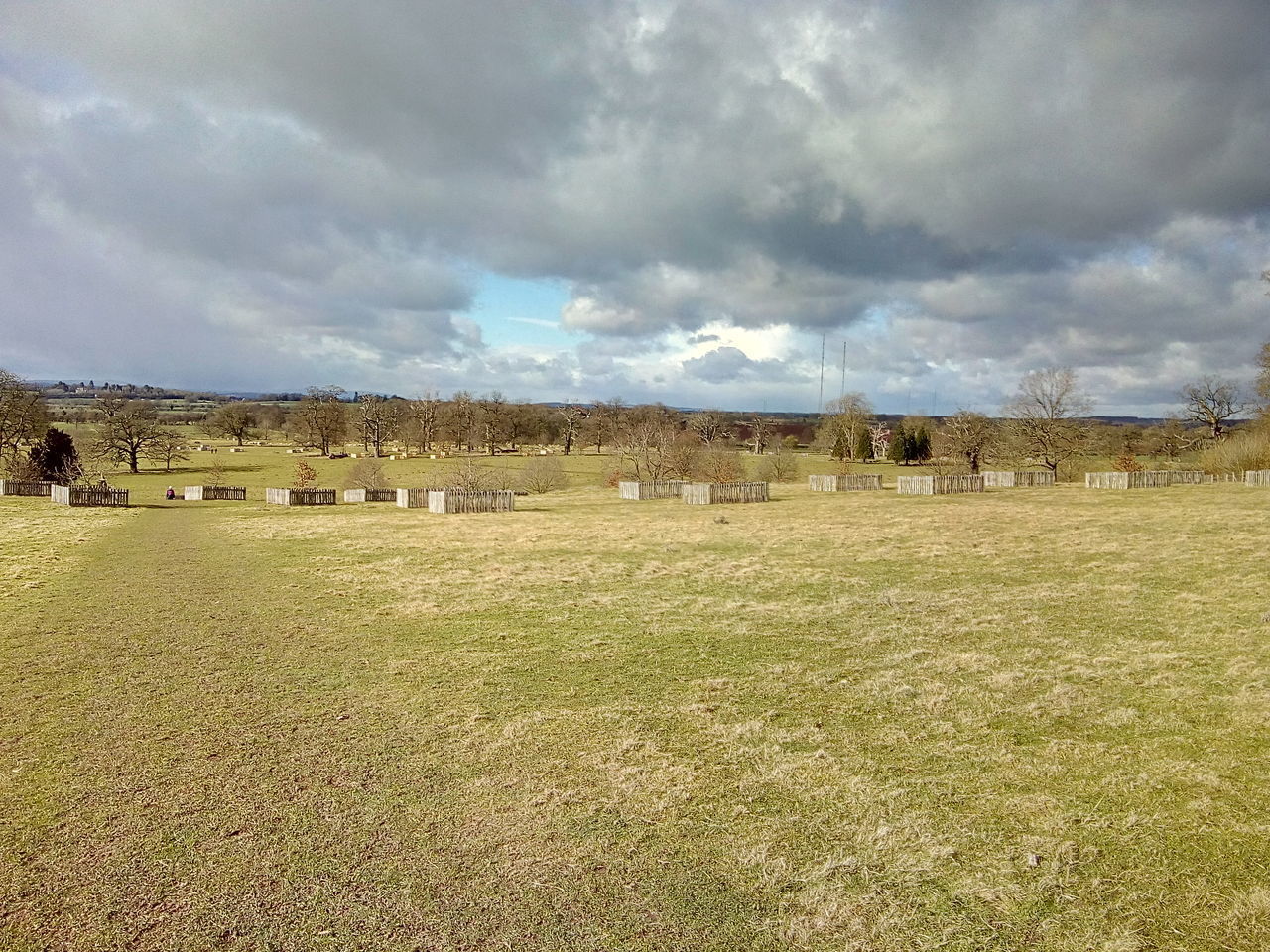 VIEW OF FIELD AGAINST SKY