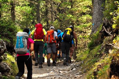 Rear view of people walking on footpath in forest