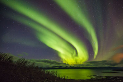 Green grass against sky at night