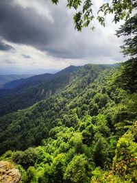 High angle view of trees and mountains against sky