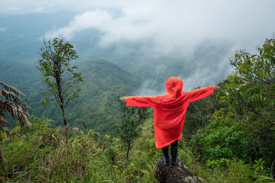 Rear view of person standing on mountain