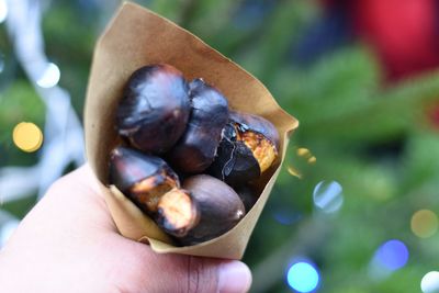 Hand holding roasted chestnuts 