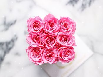 Close-up of pink roses