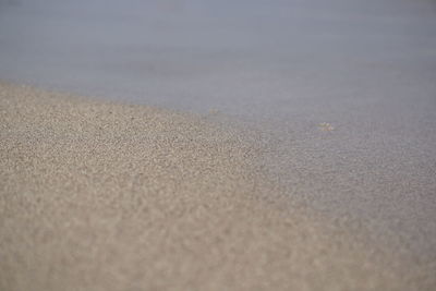 Surface level of sandy beach
