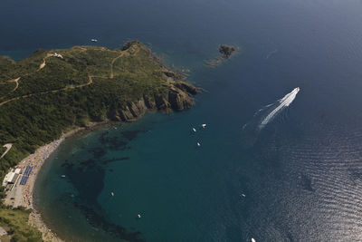 High angle view of sea and trees