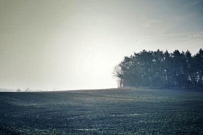 Scenic view of field against sky