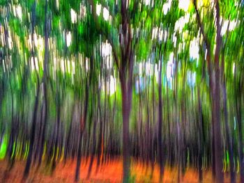 Full frame shot of tree
