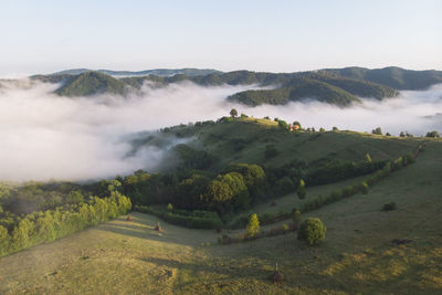 Scenic view of landscape against sky