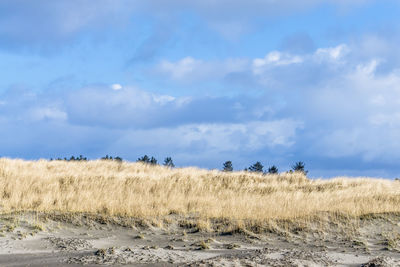 Panoramic view of field against sky