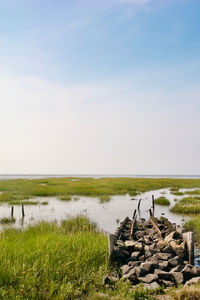 Scenic view of field against sky