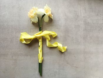 Close-up of yellow flowering plant on table