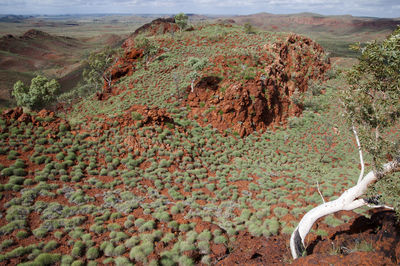 View of a desert