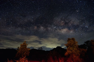 Low angle view of star field against sky at night