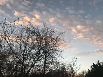 Low angle view of silhouette bare tree against sky