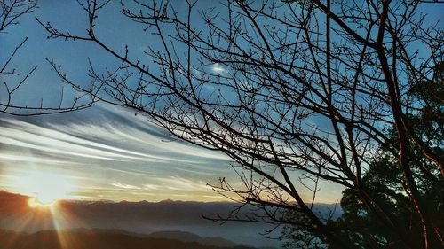 Low angle view of bare trees against sky