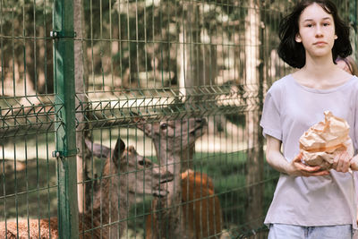 A girl feeds deer on a farm. caring for animals. female hand feeds deer wild animals