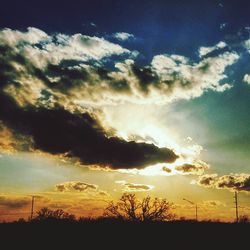 Low angle view of silhouette trees against sky during sunset