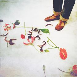 Low section of person with flower on floor