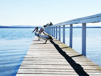 Full length of young woman standing on pier at sea against clear sky