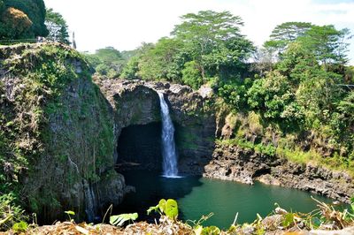 Scenic view of waterfall in forest