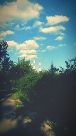 View of trees against cloudy sky