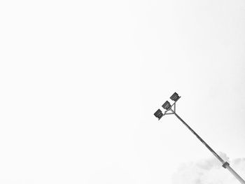 Low angle view of bird against clear sky