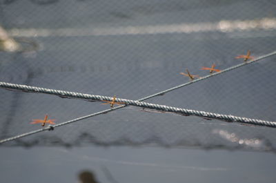 Close-up of barbed wire fence