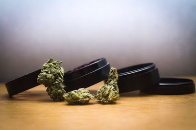 Close-up of food on table