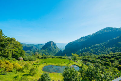 Scenic view of trees and mountains against blue sky