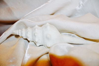 Close-up of bread in white