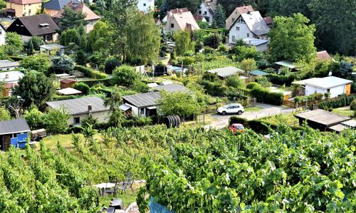 High angle view of trees and houses in town