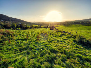 Scenic view of field against sky during sunset