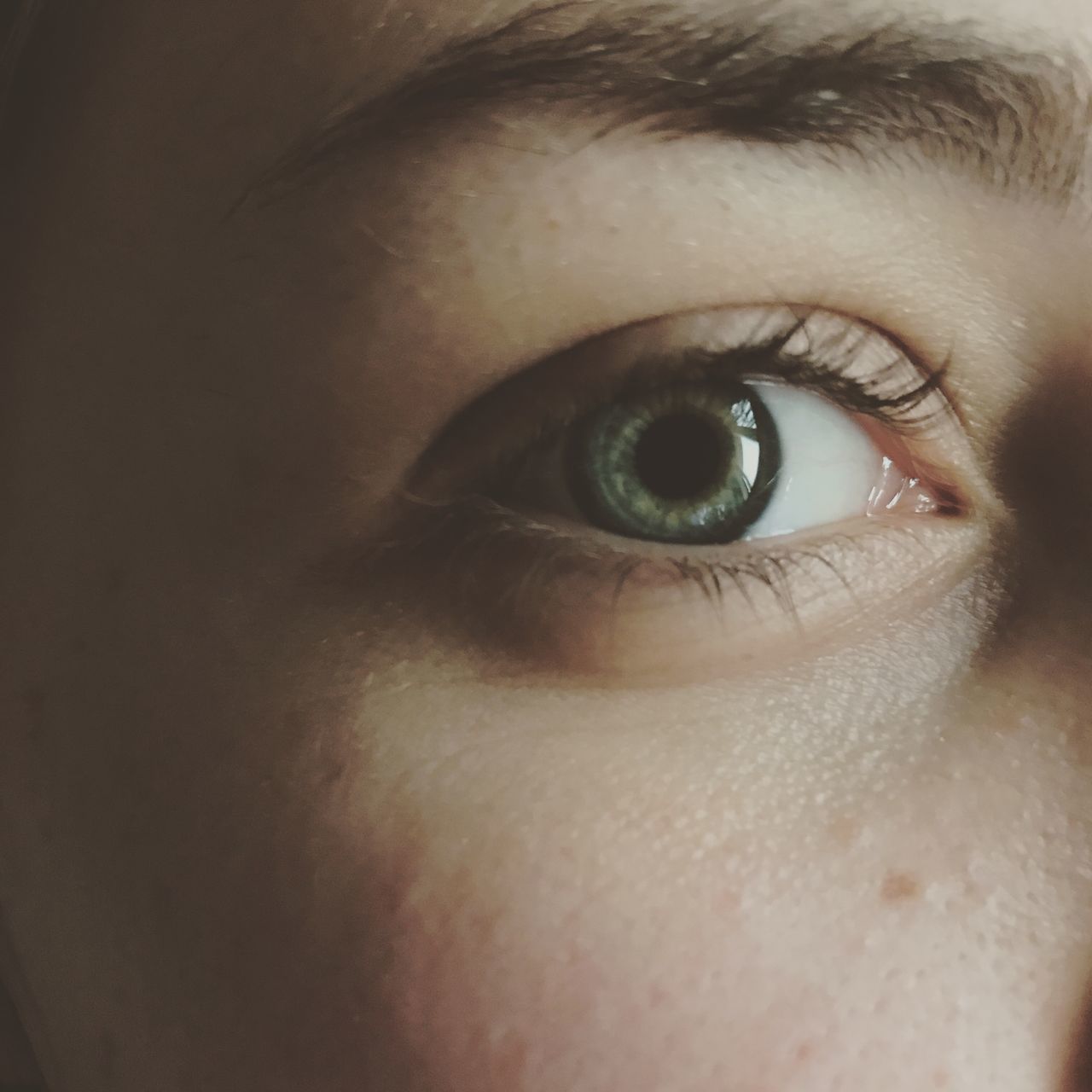 human eye, looking at camera, real people, one person, eyelash, close-up, portrait, sensory perception, eyeball, eyesight, lifestyles, iris - eye, human body part, young women, eyebrow, young adult, indoors, day, vision, people