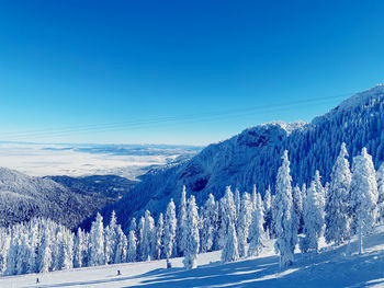This is a beautiful view from the top of mountain postavaru. it was a great day for skiing.
