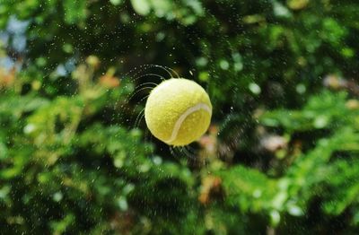 Water splashing from tennis ball against trees on sunny day