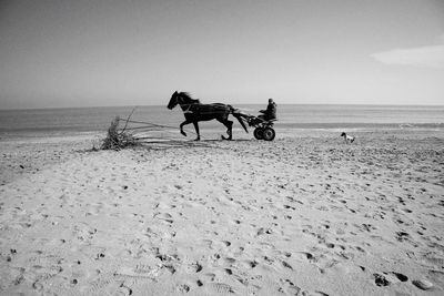 Men riding horse on beach against sky