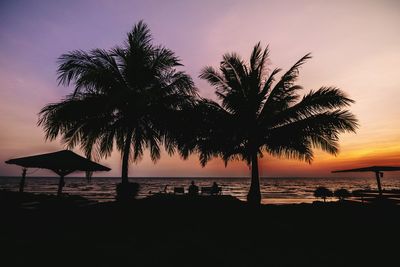 Silhouette palm trees by swimming pool against sky during sunset