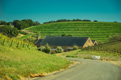 Road by agricultural field against sky