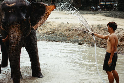 Full length of elephant standing in water