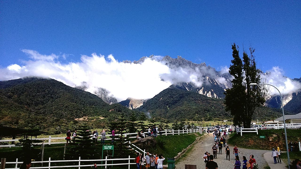 Desa Cattle Farm, Kundasang