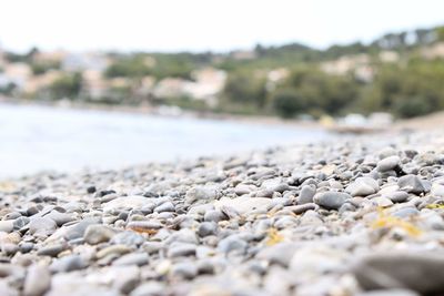 Surface level of pebbles