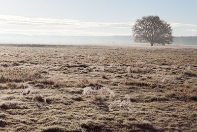 Scenic view of field against cloudy sky