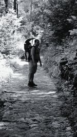 Rear view of couple walking in forest