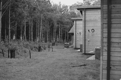 Cropped built structures along trees