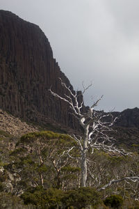 Scenic view of land against sky