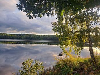 reflection
