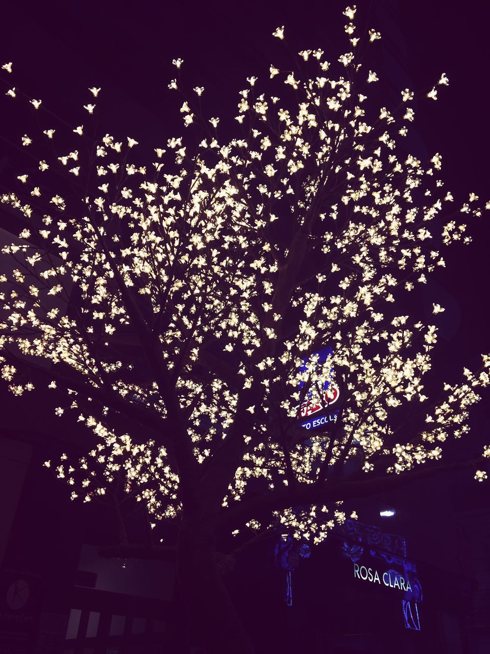 celebration, no people, night, low angle view, sky, outdoors, close-up