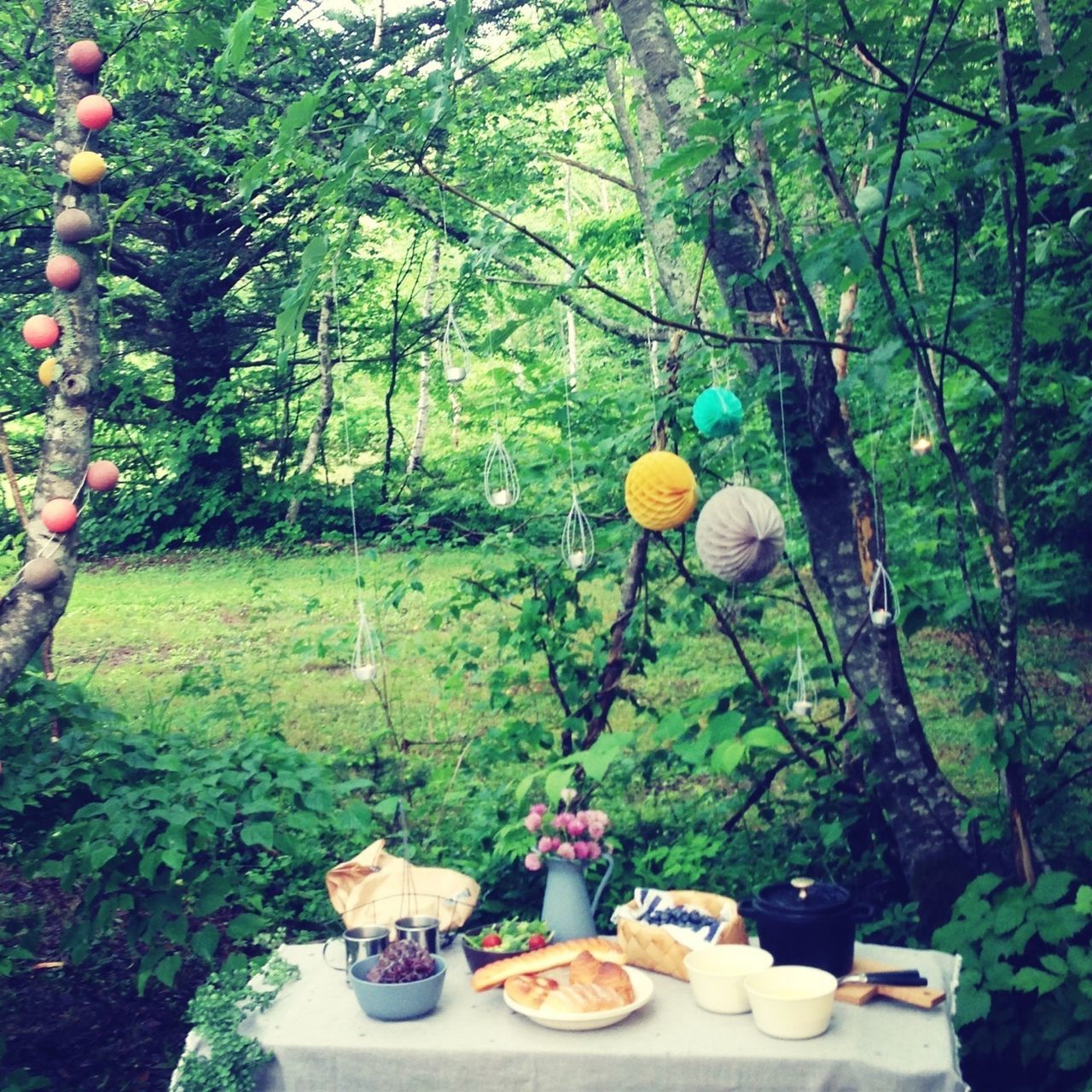 tree, hanging, growth, green color, decoration, lantern, day, nature, plant, branch, food and drink, tree trunk, outdoors, celebration, tradition, table, no people, sunlight, fruit, lighting equipment